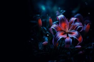 Подробнее о статье Journey of Serenity and Self-Discovery